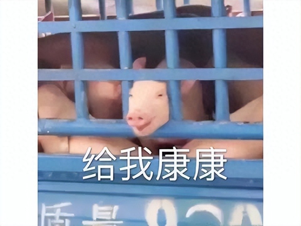 鬼谷八荒手游版上线，融合七款游戏精华，后宫玩法引网友热议
